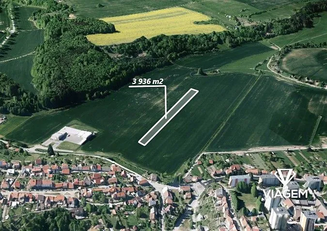 Prodej pole 3936 m²